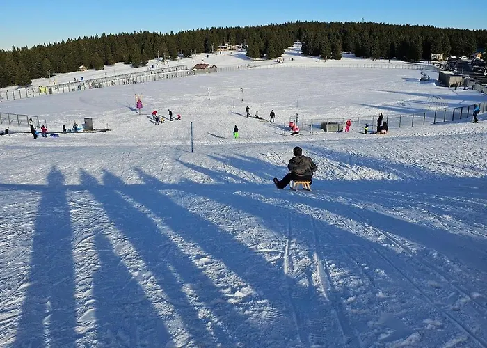 Cosy Rogla 108 Appartement Zreče